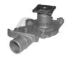FORD 1317021 Water Pump